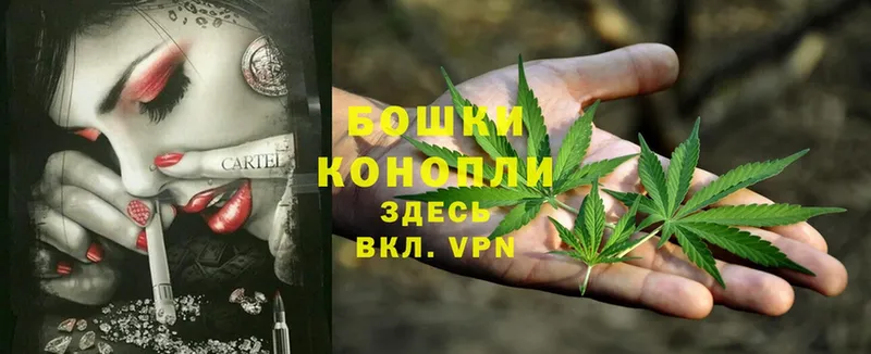 как найти наркотики  Богданович  omg маркетплейс  Канабис OG Kush 